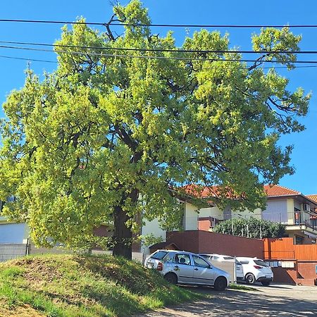 Makra-Teto Oeregtoelgy Apartman Pětikostelí Exteriér fotografie